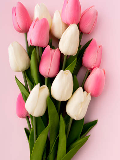 Ramo de Tulipanes
